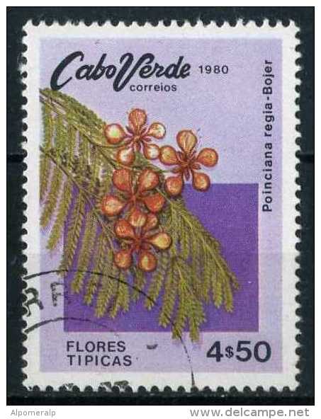 Cape Verde 1980 Mi 426 Flowers, Poinciana Regia Bojer | Fabaceae - Kaapverdische Eilanden