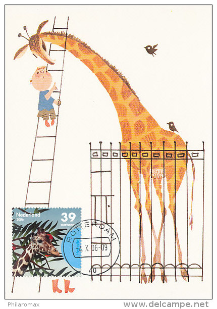 D20946 CARTE MAXIMUM CARD FD 2006 NETHERLANDS - GIRAFFE ROTTERDAM ZOO BLIJDORP CP ORIGINAL - Girafes