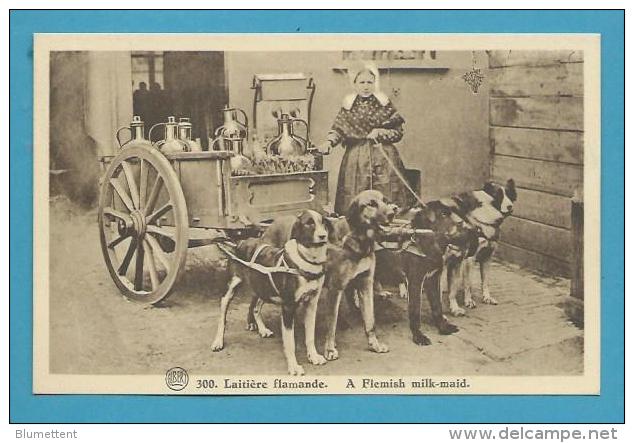 CPA 300 - Métier Marchande De Lait Laitière Flamande Voiture à Chiens BELGIQUE - Andere & Zonder Classificatie