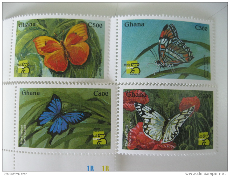 Ghana-Butterflies - Mariposas