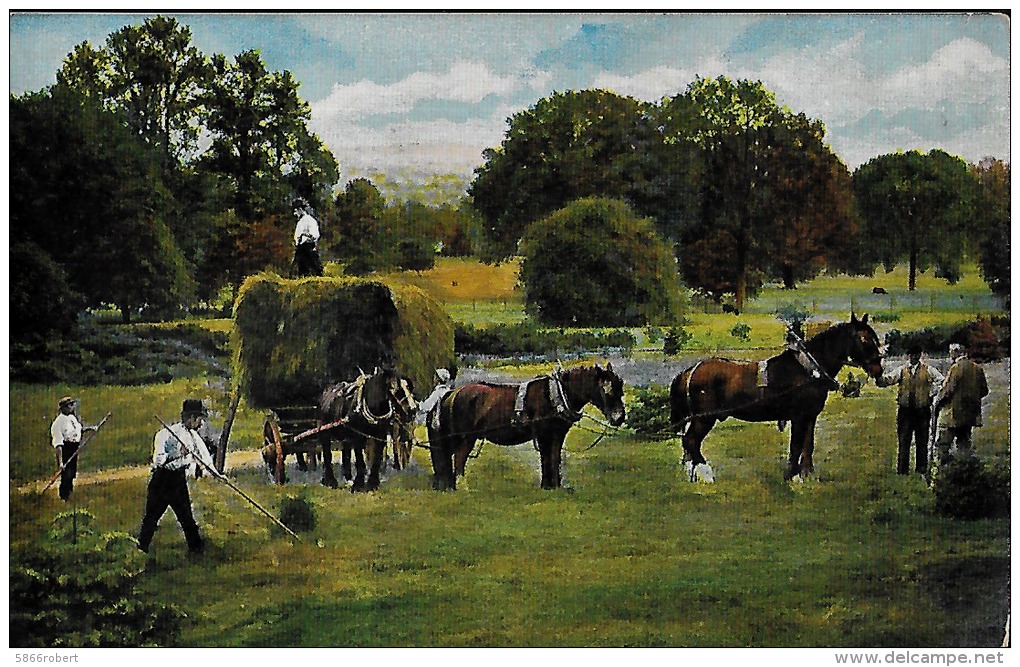 CARTE POSTALE ORIGINALE ANCIENNE COULEUR TRAVAUX DES CHAMPS LE  RAMASSAGE DU FOIN ATTELAGE TIRE PAR TROIS CHEVAUX ANIMEE - Attelages