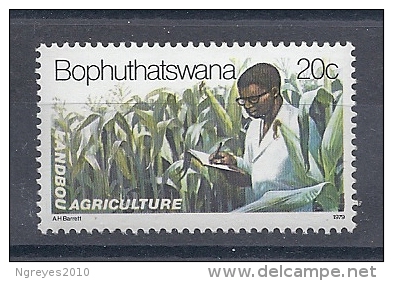 150021690   BOPHUTHATSWANA  YVERT  Nº  51/4  */MH - Bofutatsuana