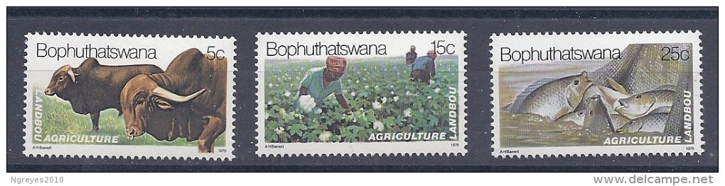 150021690   BOPHUTHATSWANA  YVERT  Nº  51/4  */MH - Bofutatsuana