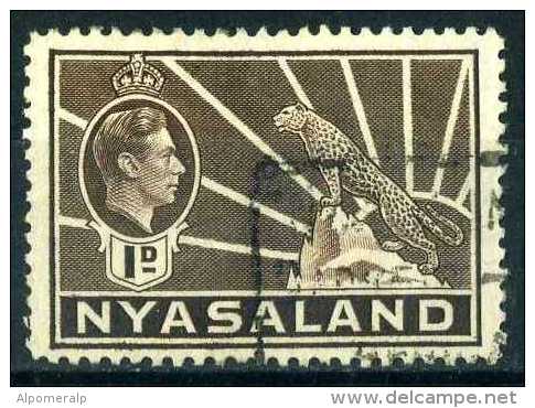 Nyasaland 1934 Mi 37 Leopard (Panthera Pardus) | King George V And Symbol Of The Protectorate | Cats Of Prey | Sun - Nyassaland (1907-1953)