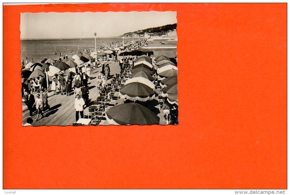 14 DEAUVILLE : Le Bar Du Soleil Sur La Plage (photo De Dimensions 8.8 X 6.5) - Other & Unclassified