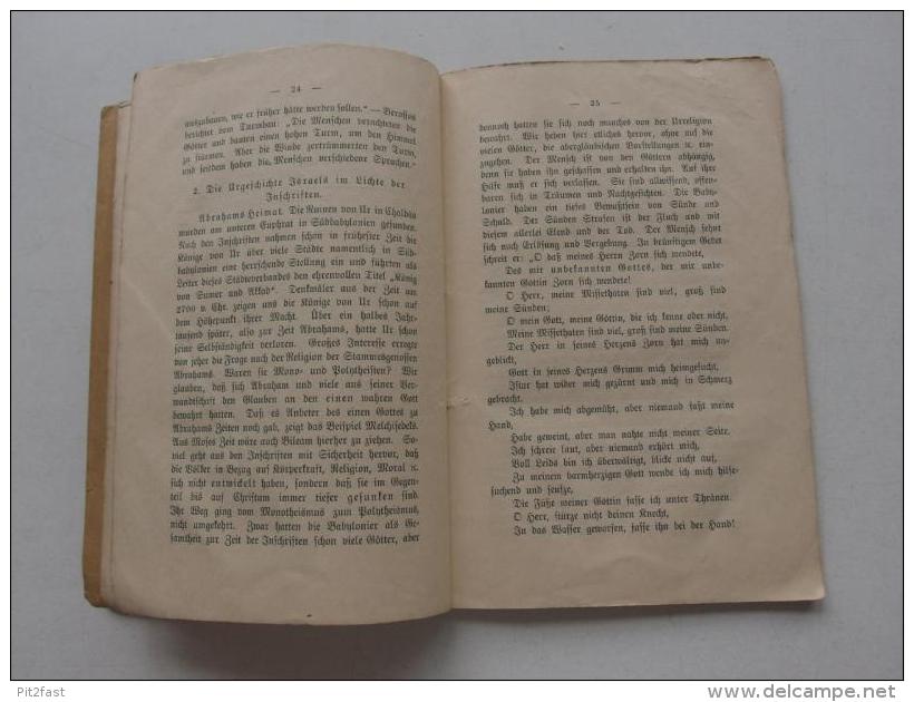 Das Schreien Der Steine Oder Hieroglyphen, Keilinschrift Und Bibelwort , 1900 , Bibel , Kirche , Religion , Glaube !!! - Christentum