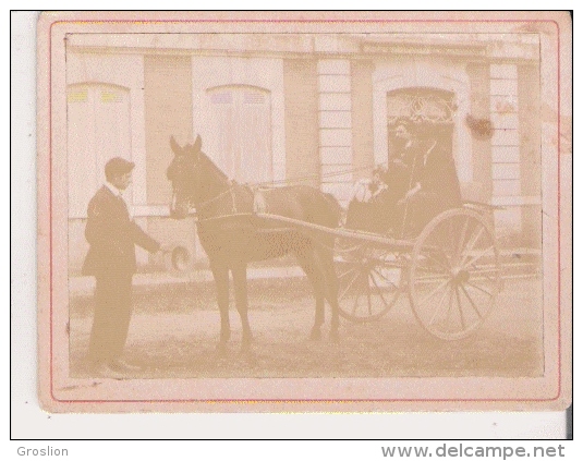 PHOTO ANCIENNE ATTELAGE CHEVAL - Other & Unclassified