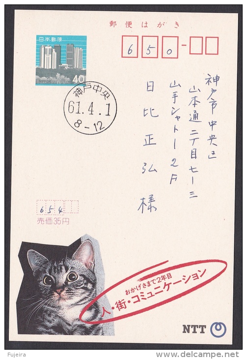 Japan Advertising Postcard, Cat NTT Telephone (jadu1291) - Cartoline Postali