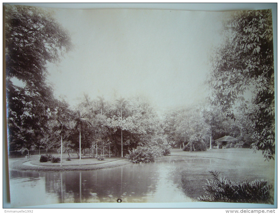 Photo Ancienne Albuminée Indochine Cochinchine Saigon - Jardin Botanique Vers 1880-1900 - 21 X 16 Cm - Anciennes (Av. 1900)