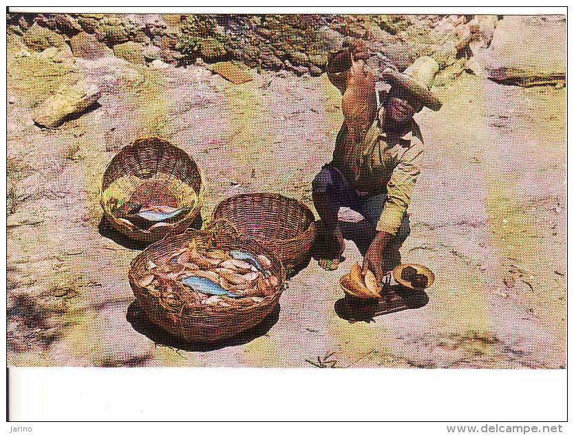 Martinique,La Trinite, Pecheur De La Caravelle, .circule Oui - La Trinite