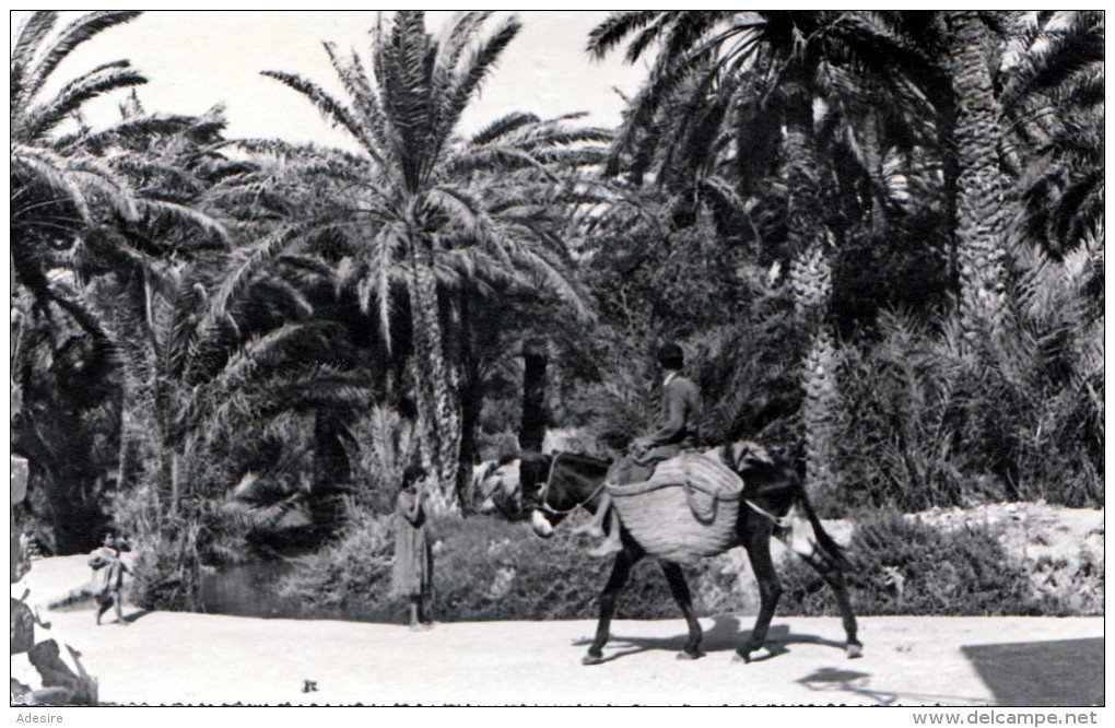 TUNESIEN - GABES, Karte Gel.1959, Sondermarke - Tunesien