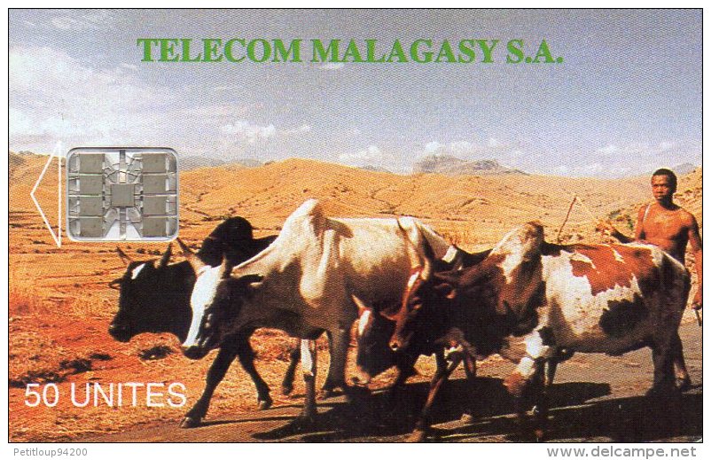 TELECARTE  MADAGASCAR  50 Unités  Zébus - Kühe