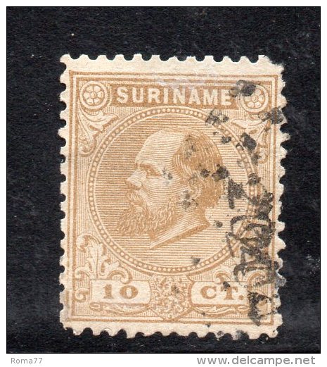 W3089 - SURINAME 1873 , 10 Cent N. 6 Usato - Suriname ... - 1975