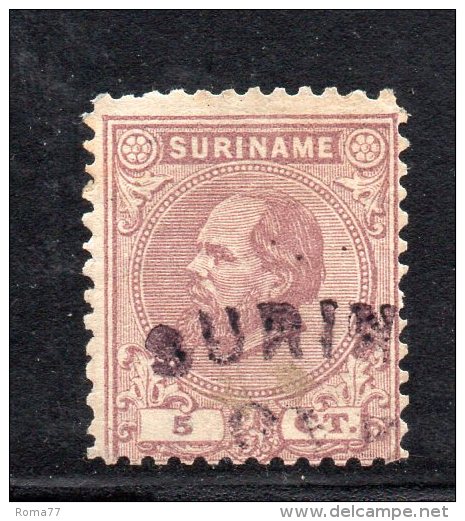 W3095 - SURINAME 1873 , 5 Cent N. 7  Usato Dent 11 1/2 - Suriname ... - 1975