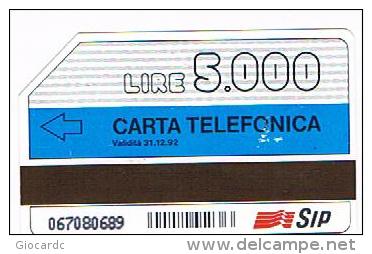 TELECOM ITALIA (SIP) - CAT. C.& C. 1155A - FASCE ORARIE 31.12.92 MN 5000 LOGO CORTO    - USATA - Públicas Ordinarias