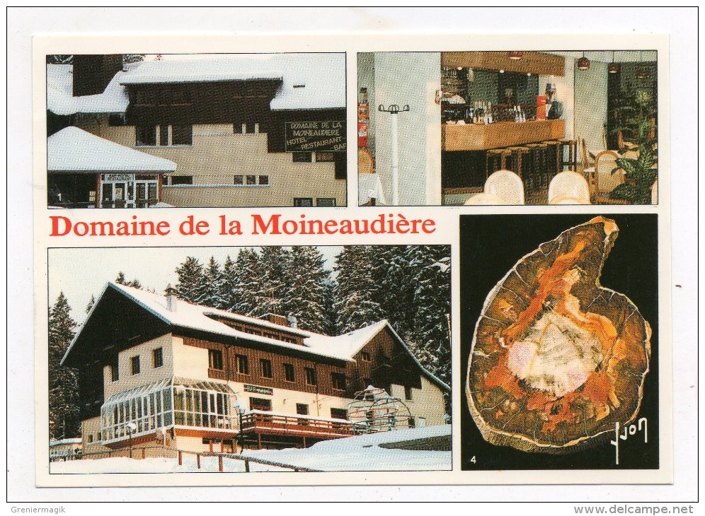 88 - Xonrupt Longemer - Domaine De La Moineaudière - Studiotel - Bar - Restaurant - Musée Exposition De Minéraux ... - Hotels & Restaurants
