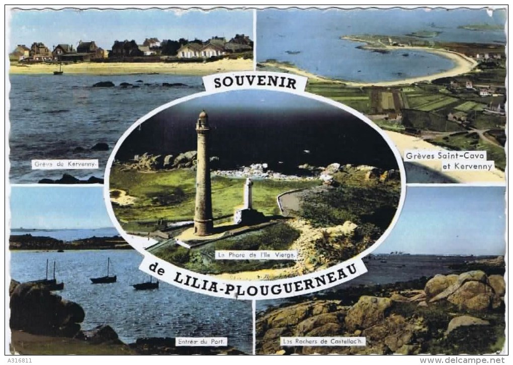 Cpsm  Souvenir De Lillia PLOUGUERNEAU - Plouguerneau