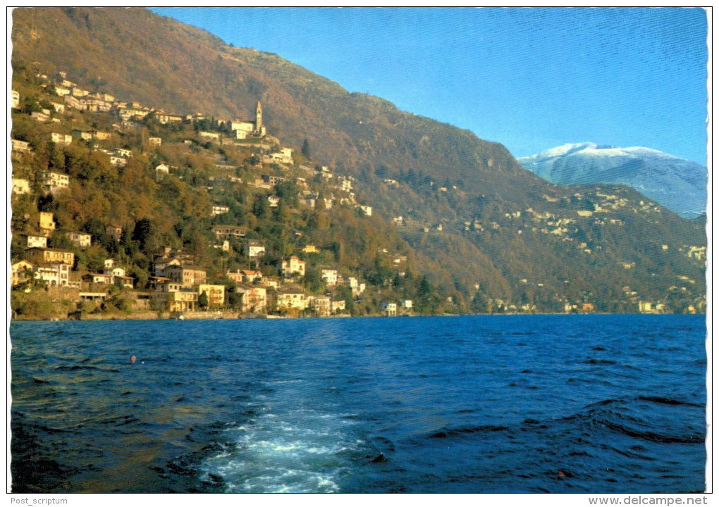 Suisse - Ronco E Porto Di Ronco - Ronco Sopra Ascona