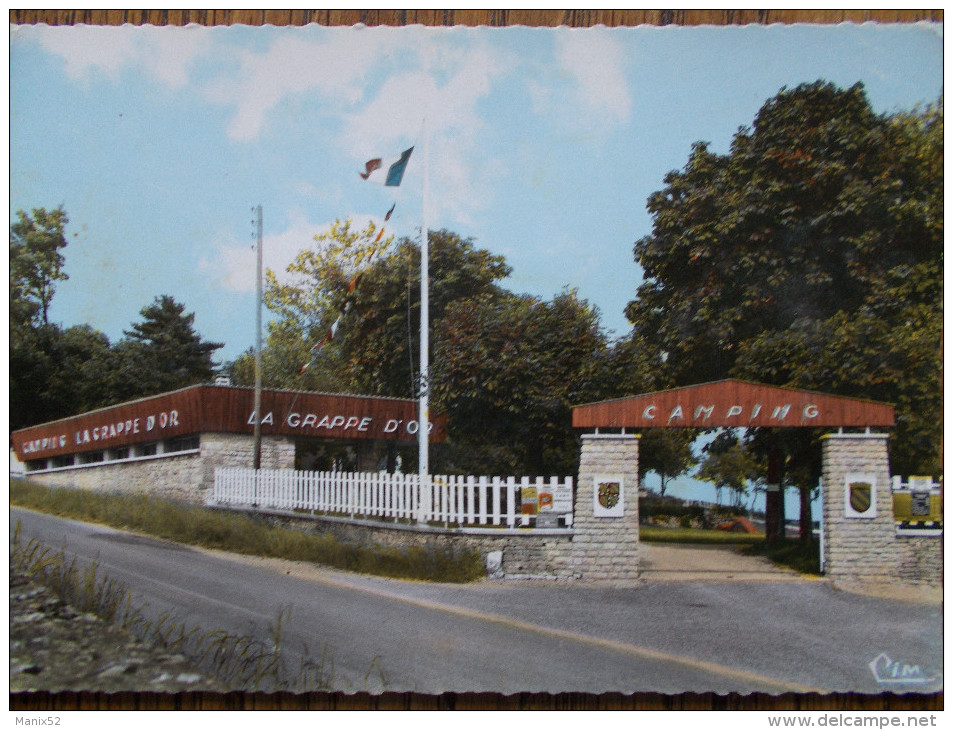 21 - MEURSAULT - Camping "La Grappe D'Or". (CPSM) - Meursault