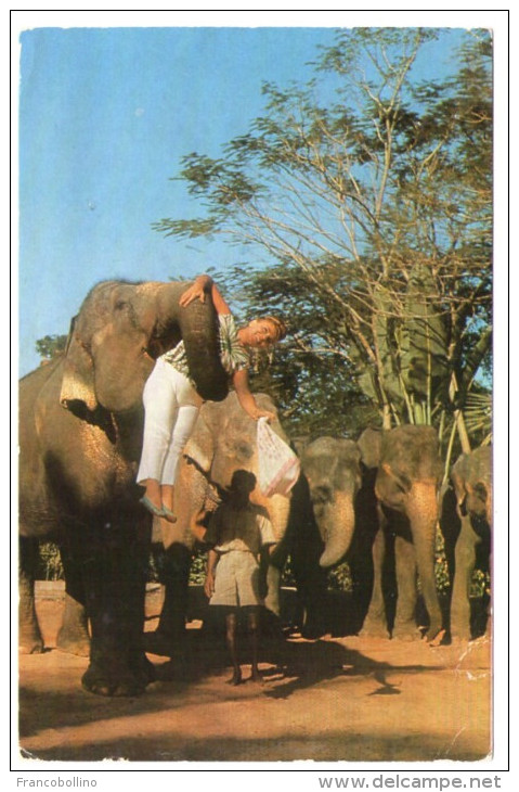 CEYLON/SRI LANKA - ELEPHANTS DEBIWALA ZOO / THEMATIC STAMP-UNESCO - Sri Lanka (Ceylon)