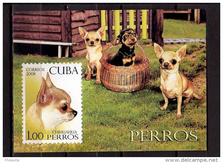 2008 Cuba / Kuba -Dogs Breeds - Chihuahua- MS Paper Imperforated -MI B 247 - MNH** - Honden