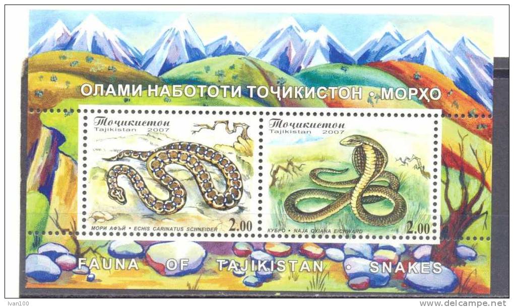 2007. Tajikistan, Snakes,  S/s, Mint/** - Tajikistan