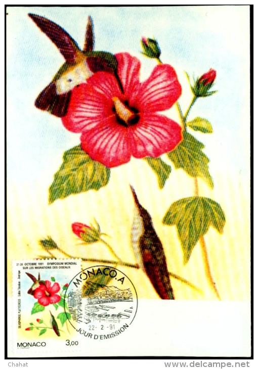 HUMMINGBIRDS-INTERNATIONAL SYMPOSIUM ON BIRD MIGRATION-BROAD TAILED HUMMINGBIRD-MONACO-1991-MAX CARD-FC-42-3 - Kolibries