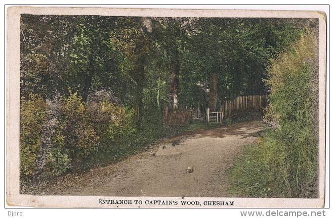 Chesham  Entrance To Captians Wood - Buckinghamshire