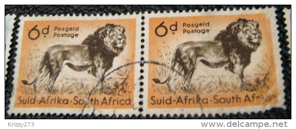 South Africa 1954 Panthera Leo Lion 6d X2 - Used - Oblitérés