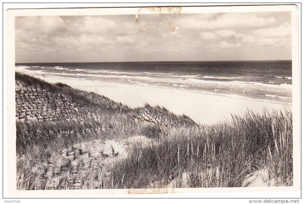 Texel - Zee En Duin  - 1951  - Holland / Nederland - Texel