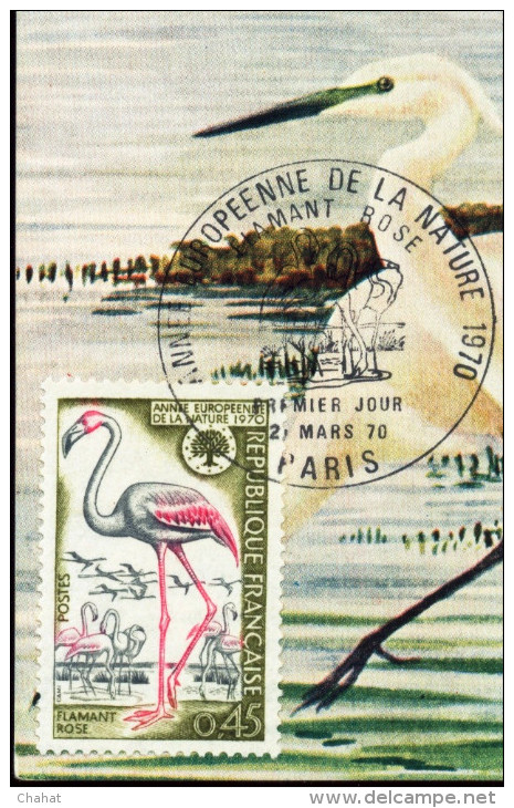 BIRDS-FLAMINGO-MAX CARD-FRANCE-1970-FC-58-12 - Flamingo