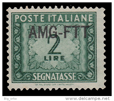 Italia – Trieste Zona A (AMG FTT): SEGNATASSE Del1947/52 Soprastampa Su Una Riga - Lire 2 Verde - 1949/54 - Postage Due