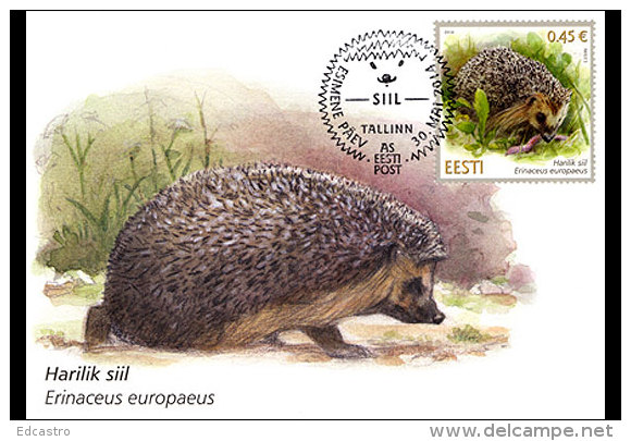 ESTONIA 2014. MAXIMUM CARD. ESTONIAN FAUNA HEDGEHOG - Roedores