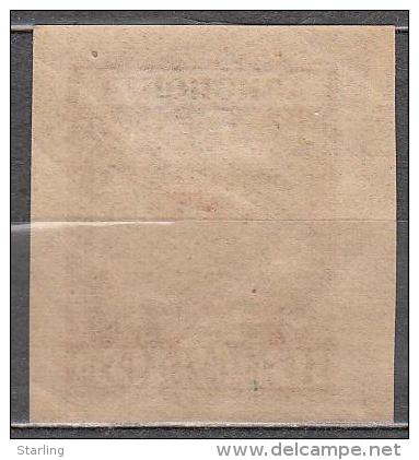 Russia USSR 1923 Mi# XV Air Mail MLH * - Nuovi