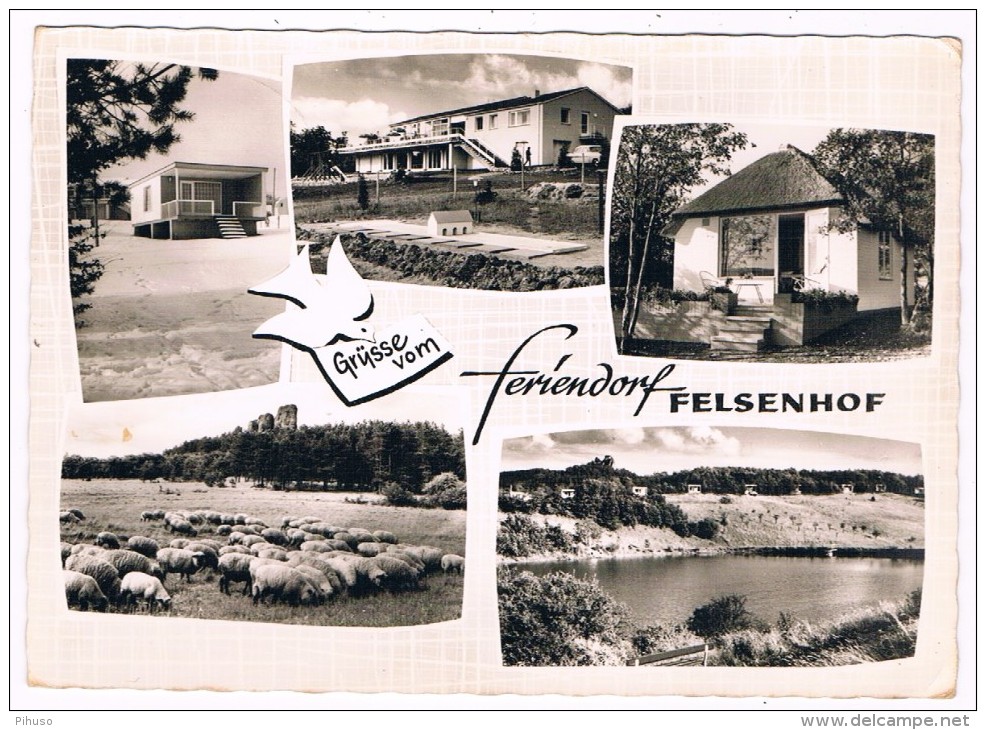 D5392      GEROLSTEIN : Feriendorf Felsenhof - Gerolstein
