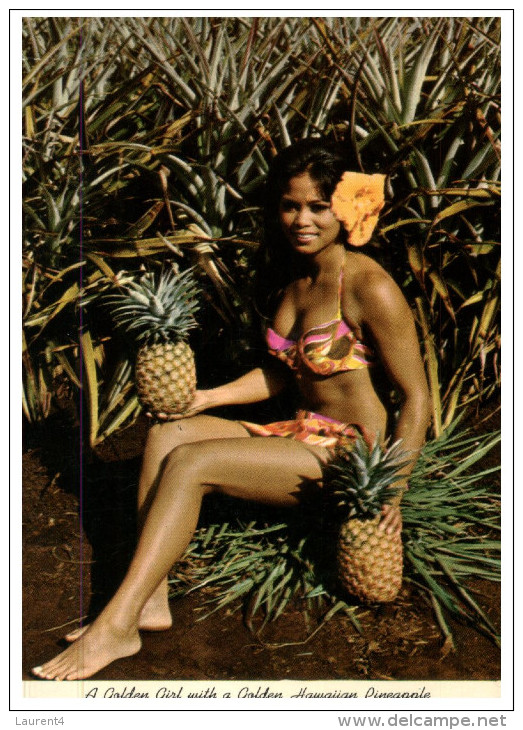 (999) Hawaii Pineapple Plantation With "golden Sexy Girl" - Alberi