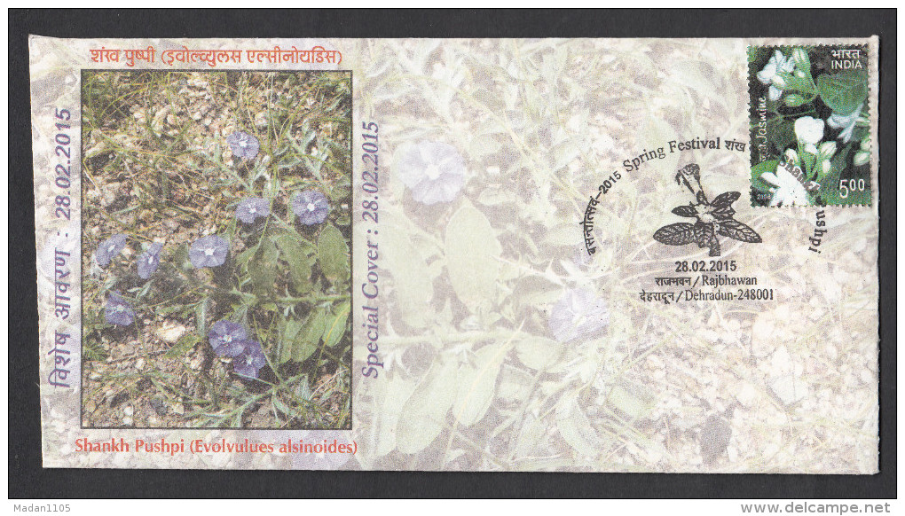 INDIA, 2015, SPECIAL COVER,  Shankh Pushpi, Evolvulues Alsinoides Flowers,Spring Festival, Dehradun   Cancelled - Covers & Documents