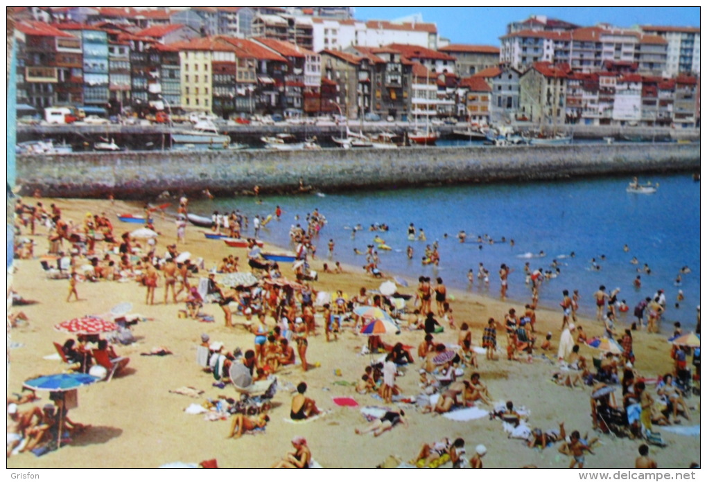 Lequeitio Playa - Vizcaya (Bilbao)