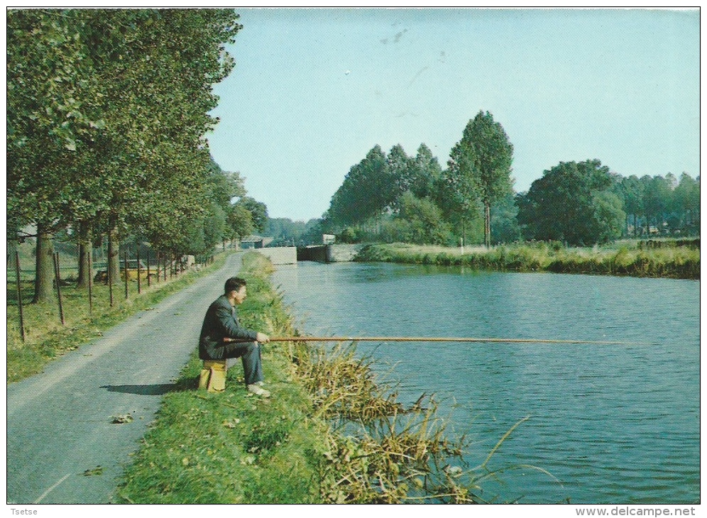 Blaton - Le Village Aux Trois Canaux - Un Coin De Pêche - Bernissart