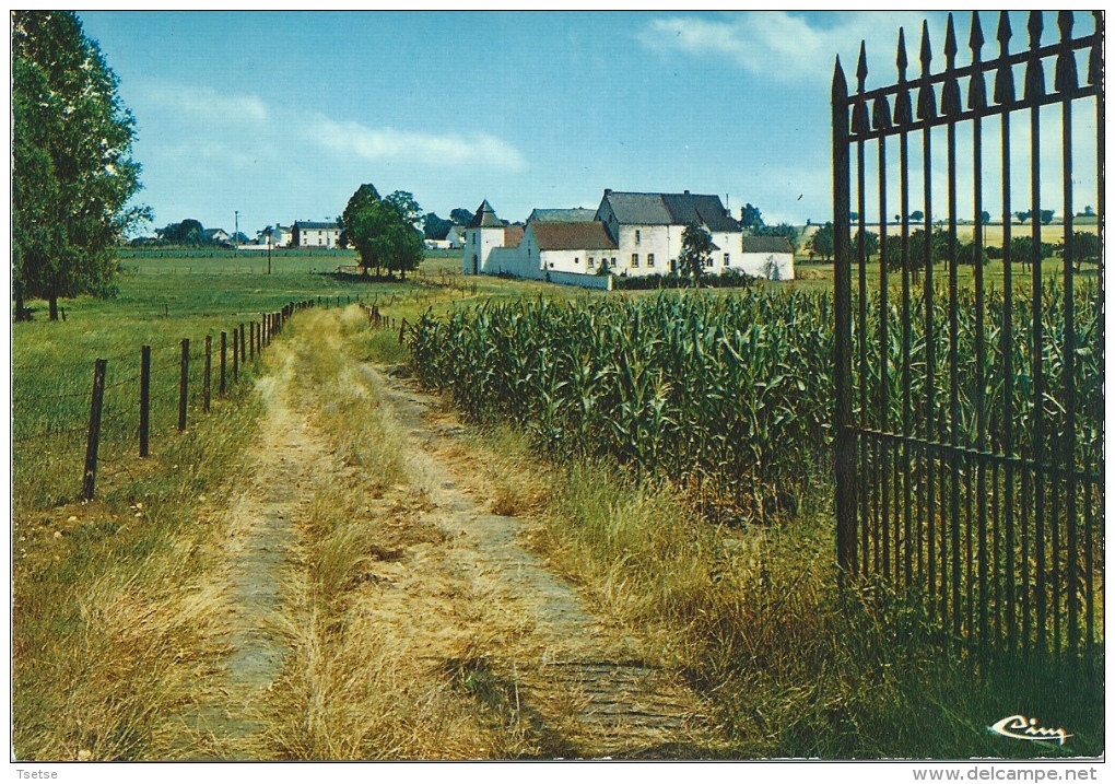 Feluy - La Ferme Du Capitaine - Seneffe