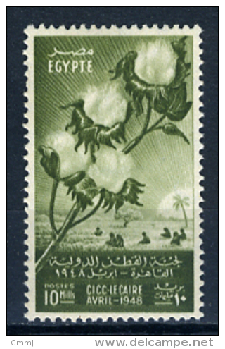 1948 - EGITTO - EGYPT - EGYPTIENNES -  Yv. Nr. 261 - LH -   (S14082015....) - Nuevos