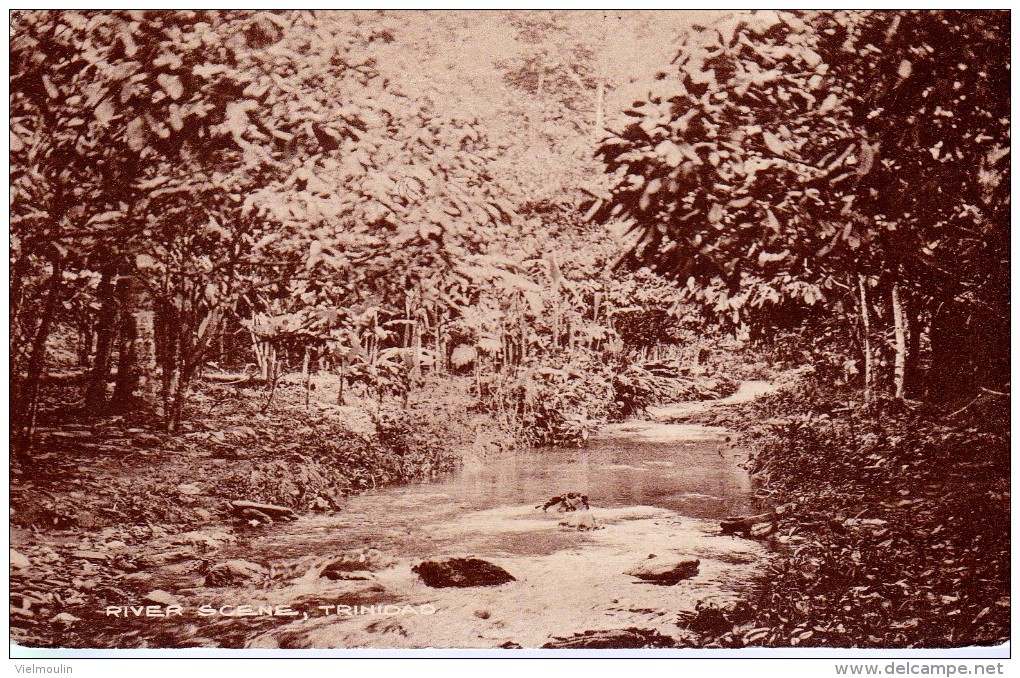 ANTILLES TRINIDAD RIVER SCENE  BELLE CARTE  RARE !!! - Trinidad