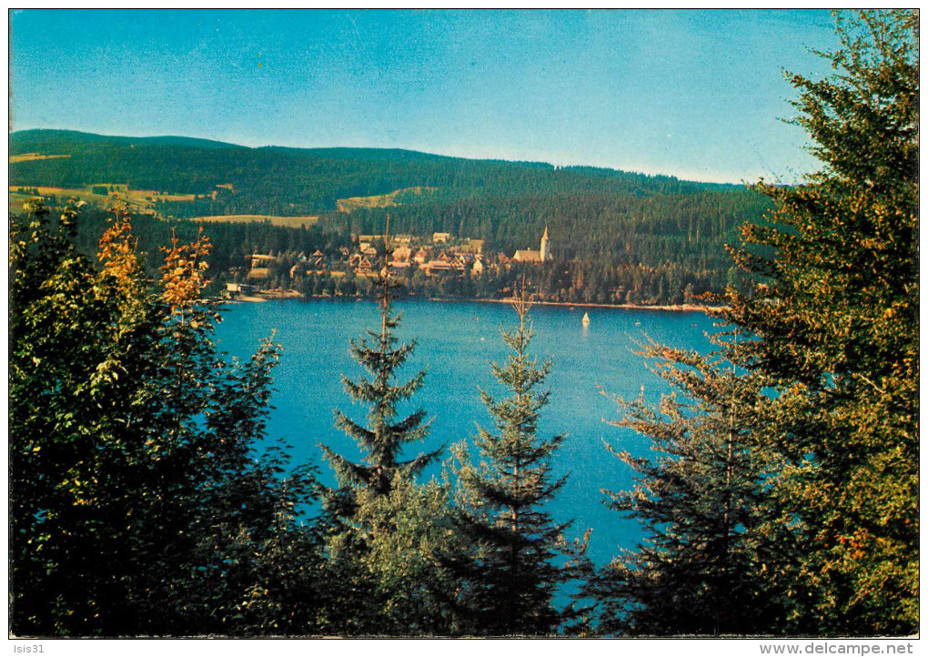 Allemagne - Germany - Bade Wurtemberg - Titisee - Le Lac - Semi Moderne Grand Format - état - Titisee-Neustadt