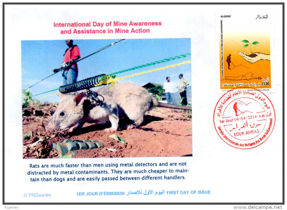 ARGELIA 2014 FDC Landmines Deminer Rats Démineurs Mine  Mines Rat Ratte Deminer Hunde Landminen Deminer Rata - Rongeurs