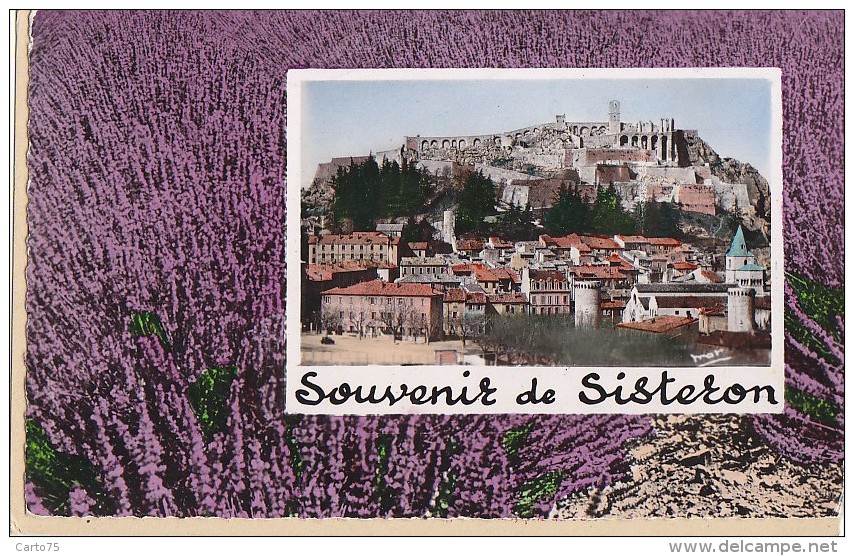 Sisteron 04 -  Panorama Souvenir De Sisteron - Lavande - Sisteron