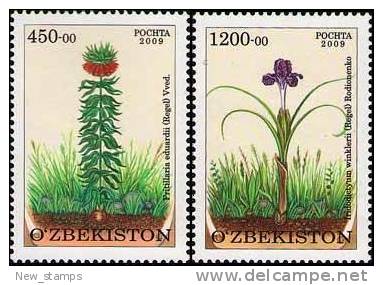 Uzbekistan 2010 Protected Plants 2v MNH - Uzbekistan