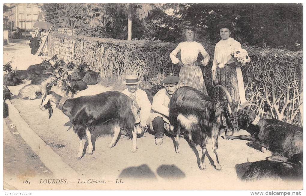 Lourdes      65      Les Chèvres - Lourdes