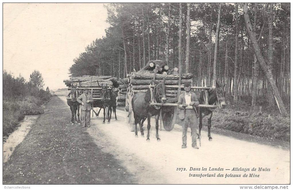 Landes     40       Attelages De Mules Transportant Des Poteaux De Mine - Sonstige & Ohne Zuordnung