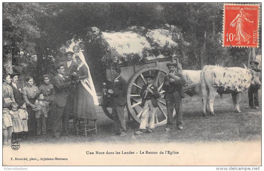 Landes     40      Une Noce Dans Les Landes  (voir Scan) - Autres & Non Classés