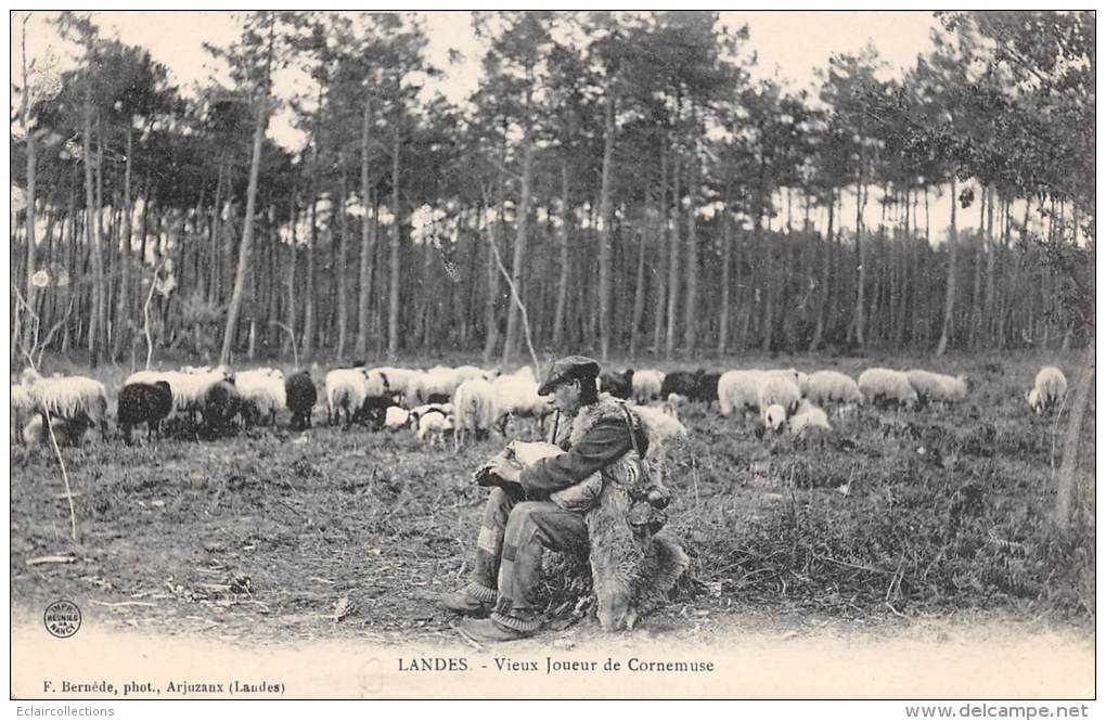 Landes     40      Bergers Landais  Joueur De Cornemuse (voir Scan) - Autres & Non Classés